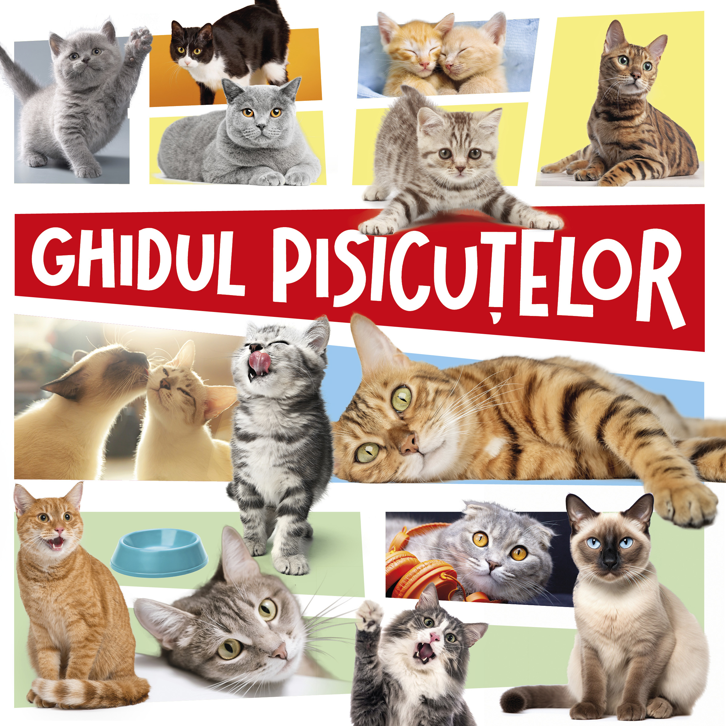 Ghidul pisicutelor
