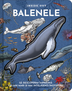 Balenele 3D