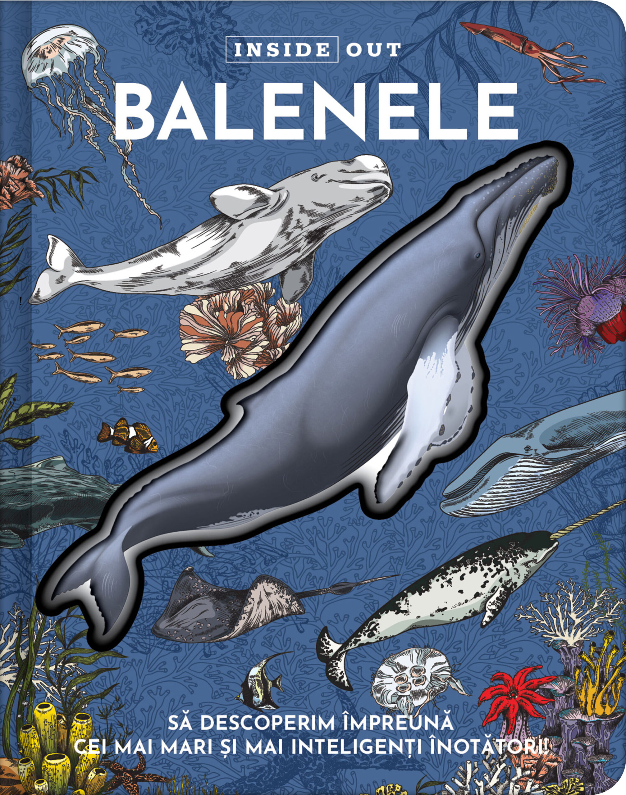 Balenele 3D