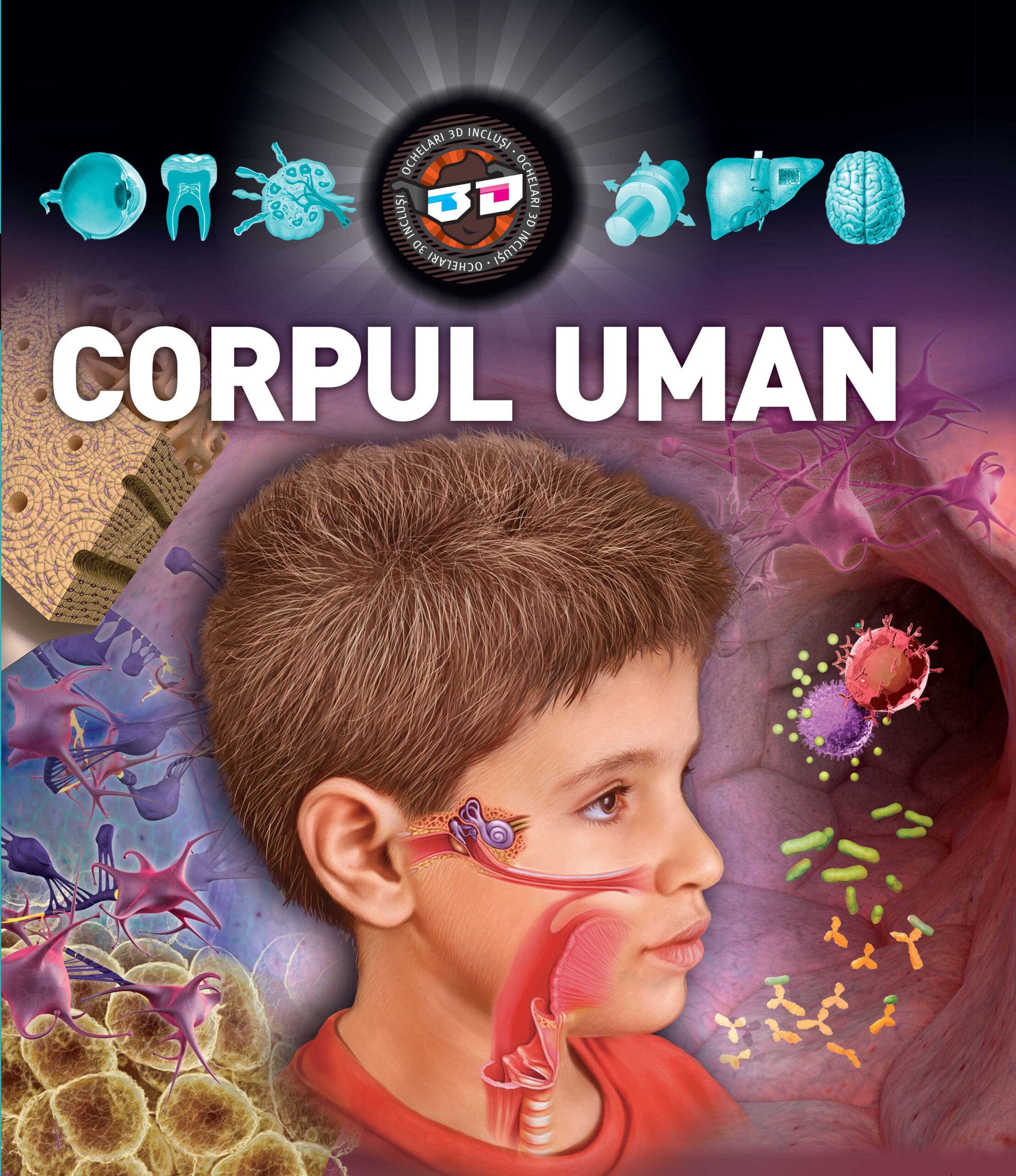 Corpul uman 3D